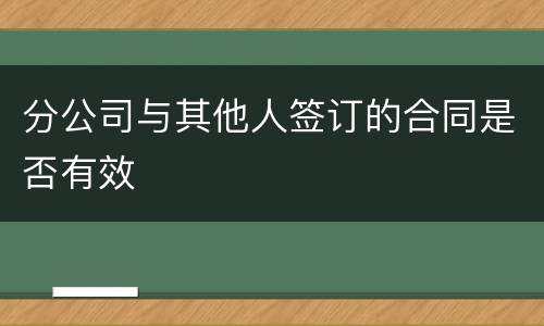 分公司与其他人签订的合同是否有效