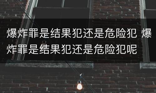 爆炸罪是结果犯还是危险犯 爆炸罪是结果犯还是危险犯呢