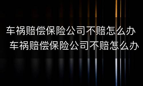 车祸赔偿保险公司不赔怎么办 车祸赔偿保险公司不赔怎么办理