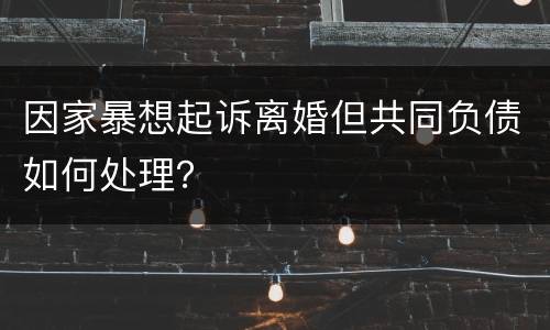 因家暴想起诉离婚但共同负债如何处理？