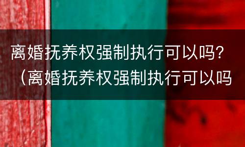 离婚抚养权强制执行可以吗？（离婚抚养权强制执行可以吗现在）