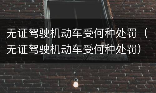 无证驾驶机动车受何种处罚（无证驾驶机动车受何种处罚）