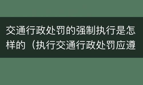 交通行政处罚的强制执行是怎样的（执行交通行政处罚应遵循的原则）