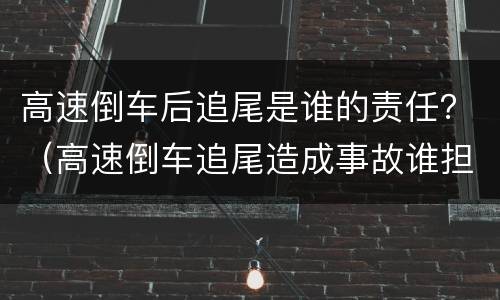 高速倒车后追尾是谁的责任？（高速倒车追尾造成事故谁担责）