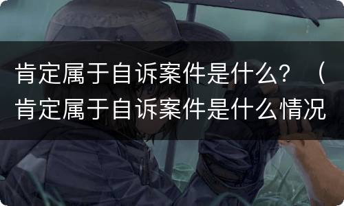 肯定属于自诉案件是什么？（肯定属于自诉案件是什么情况）