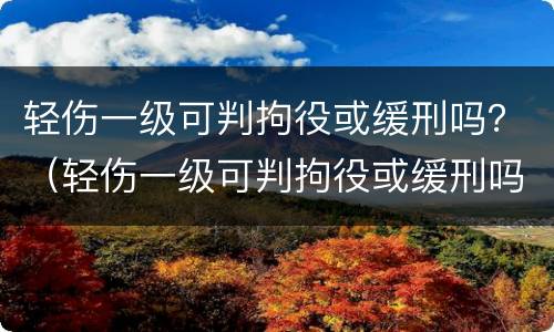 轻伤一级可判拘役或缓刑吗？（轻伤一级可判拘役或缓刑吗判几年）