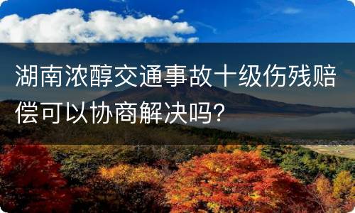 湖南浓醇交通事故十级伤残赔偿可以协商解决吗？