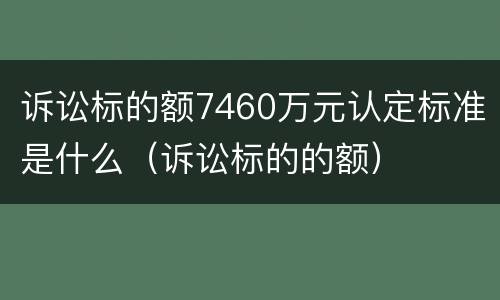 诉讼标的额7460万元认定标准是什么（诉讼标的的额）