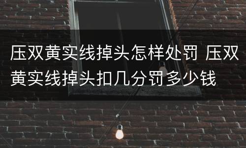 压双黄实线掉头怎样处罚 压双黄实线掉头扣几分罚多少钱