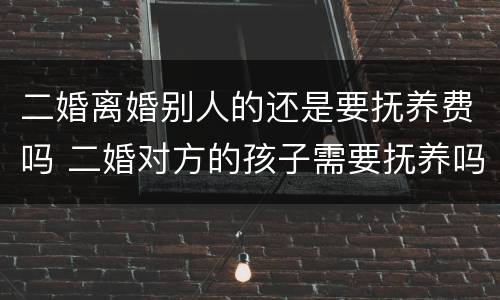 二婚离婚别人的还是要抚养费吗 二婚对方的孩子需要抚养吗