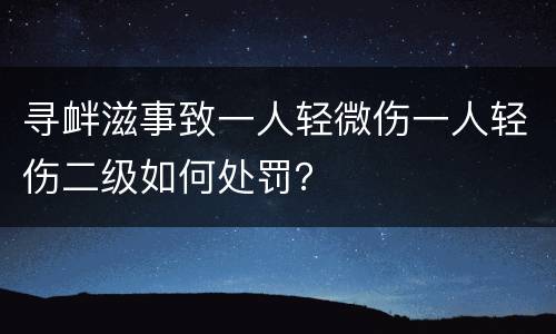 寻衅滋事致一人轻微伤一人轻伤二级如何处罚？