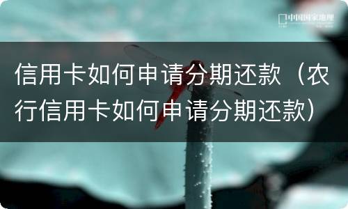 信用卡如何申请分期还款（农行信用卡如何申请分期还款）