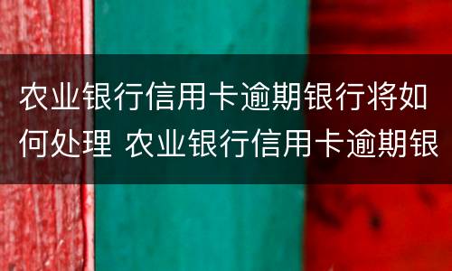 农业银行信用卡逾期银行将如何处理 农业银行信用卡逾期银行将如何处理呢