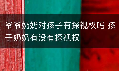 爷爷奶奶对孩子有探视权吗 孩子奶奶有没有探视权