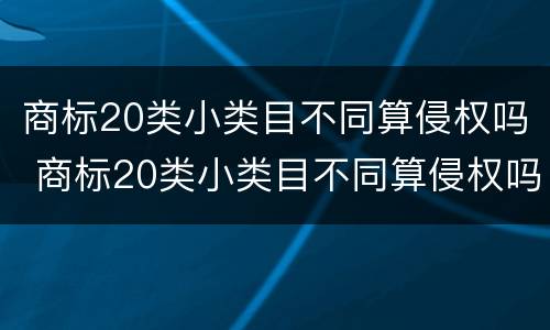 商标20类小类目不同算侵权吗 商标20类小类目不同算侵权吗知乎