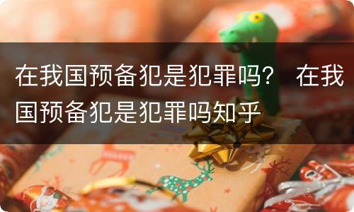 在我国预备犯是犯罪吗？ 在我国预备犯是犯罪吗知乎