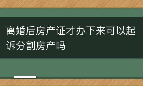 离婚后房产证才办下来可以起诉分割房产吗