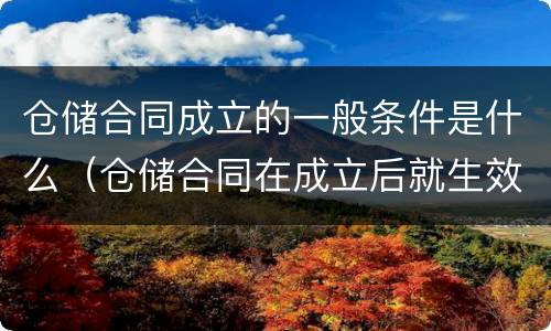 仓储合同成立的一般条件是什么（仓储合同在成立后就生效）