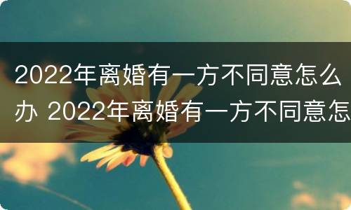 2022年离婚有一方不同意怎么办 2022年离婚有一方不同意怎么办理