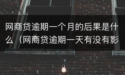 网商贷逾期一个月的后果是什么（网商贷逾期一天有没有影响）