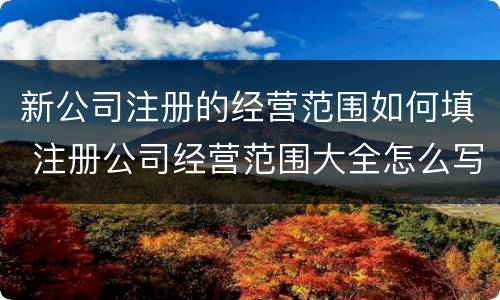 新公司注册的经营范围如何填 注册公司经营范围大全怎么写