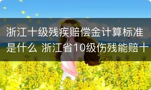 浙江十级残疾赔偿金计算标准是什么 浙江省10级伤残能赔十万吗