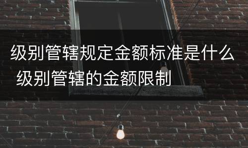 级别管辖规定金额标准是什么 级别管辖的金额限制