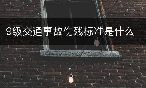 9级交通事故伤残标准是什么