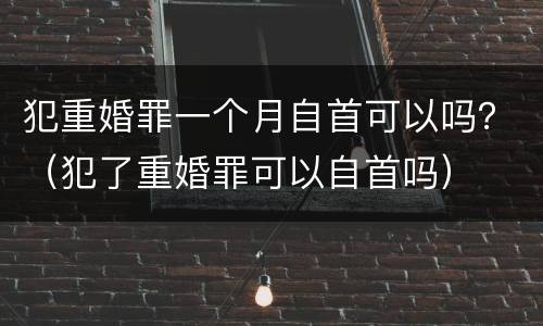 犯重婚罪一个月自首可以吗？（犯了重婚罪可以自首吗）