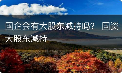 国企会有大股东减持吗？ 国资大股东减持