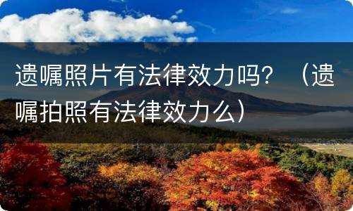 遗嘱照片有法律效力吗？（遗嘱拍照有法律效力么）