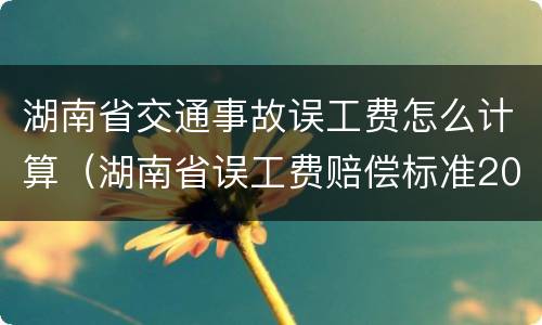 湖南省交通事故误工费怎么计算（湖南省误工费赔偿标准2020多少钱一天）