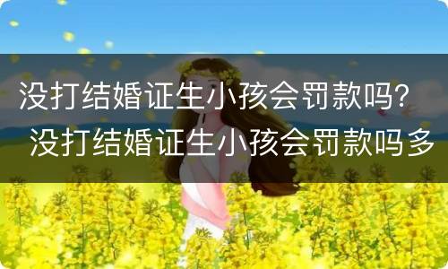 没打结婚证生小孩会罚款吗？ 没打结婚证生小孩会罚款吗多少钱