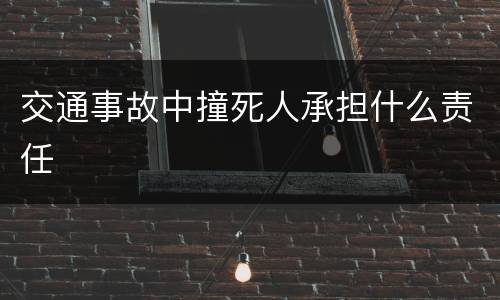 交通事故中撞死人承担什么责任