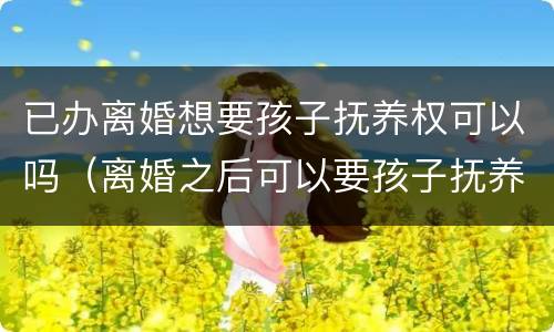 已办离婚想要孩子抚养权可以吗（离婚之后可以要孩子抚养权吗）