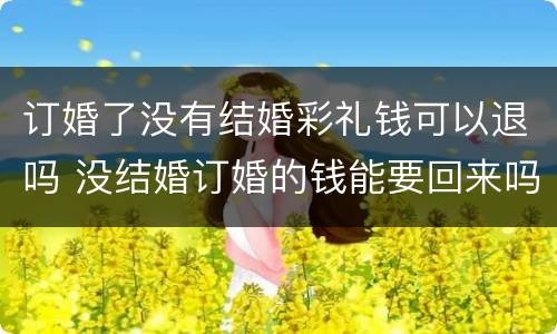 订婚了没有结婚彩礼钱可以退吗 没结婚订婚的钱能要回来吗