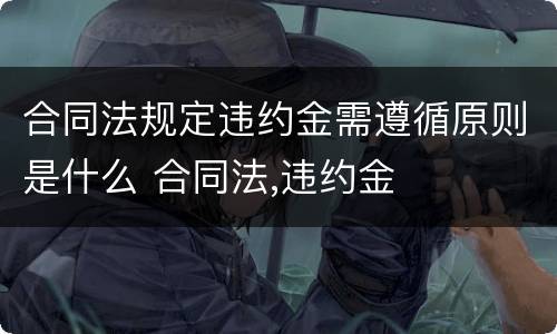 合同法规定违约金需遵循原则是什么 合同法,违约金