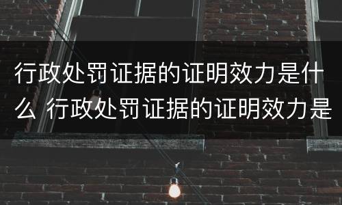 行政处罚证据的证明效力是什么 行政处罚证据的证明效力是什么