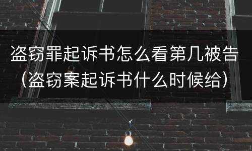 盗窃罪起诉书怎么看第几被告（盗窃案起诉书什么时候给）