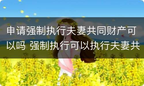 申请强制执行夫妻共同财产可以吗 强制执行可以执行夫妻共同财产