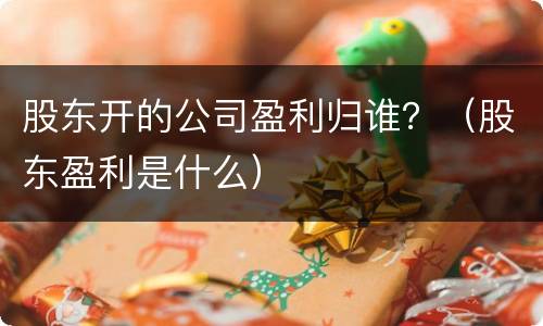 股东开的公司盈利归谁？（股东盈利是什么）