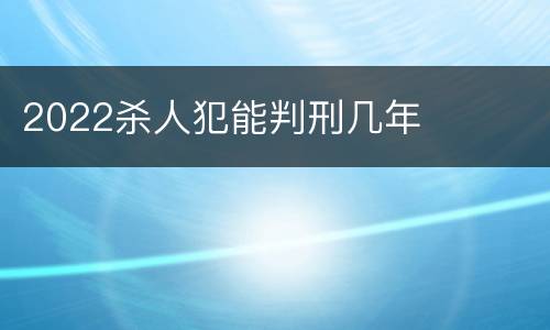 2022杀人犯能判刑几年