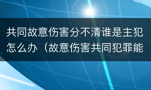 共同故意伤害分不清谁是主犯怎么办（故意伤害共同犯罪能区分责任）