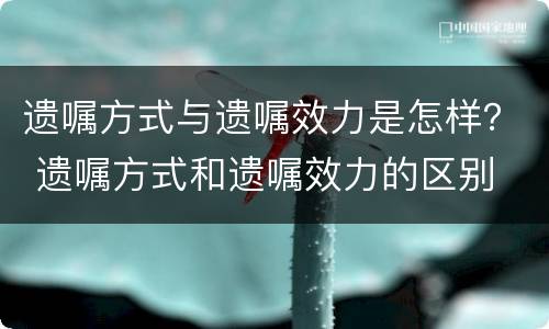 遗嘱方式与遗嘱效力是怎样？ 遗嘱方式和遗嘱效力的区别