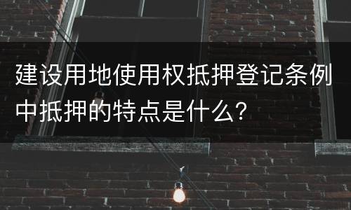 建设用地使用权抵押登记条例中抵押的特点是什么？