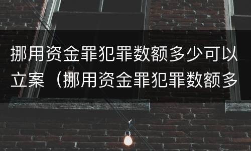 挪用资金罪犯罪数额多少可以立案（挪用资金罪犯罪数额多少可以立案侦查）