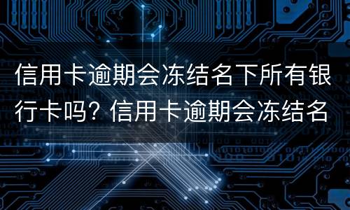 分公司可以独立签合同么