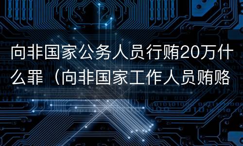 向非国家公务人员行贿20万什么罪（向非国家工作人员贿赂案件）