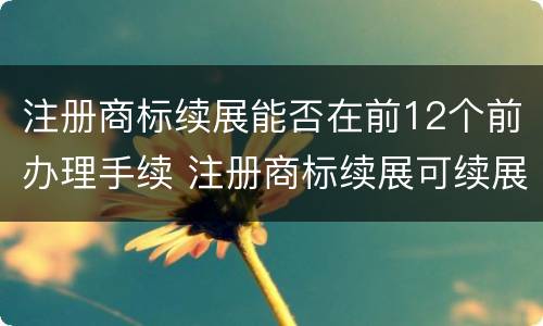 注册商标续展能否在前12个前办理手续 注册商标续展可续展几次