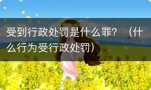 受到行政处罚是什么罪？（什么行为受行政处罚）